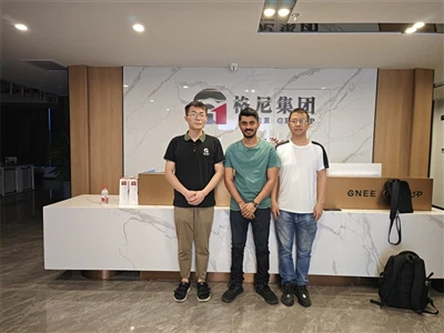 Το GNEE Συνεργάστηκε με Πελάτη από την Τανζανία